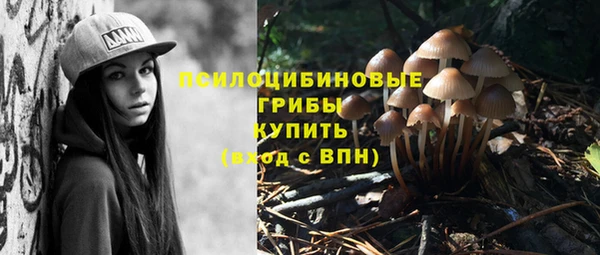 таблы Алексеевка